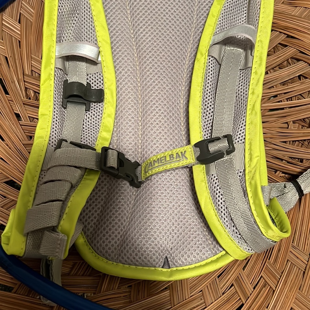 Camelback Backpack - image 4